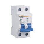 INT. AUTOMÁTICO TERMOMAG. c16 A TIPO C 2P
